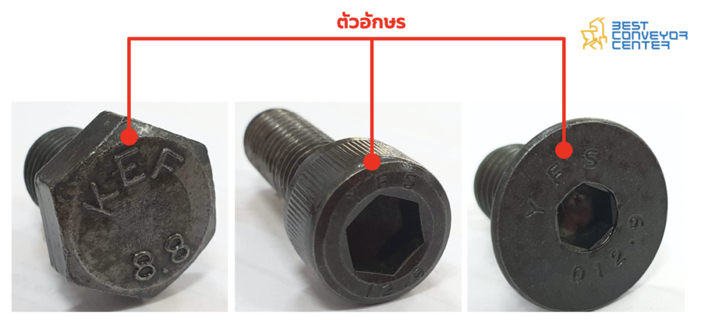 ตัวอักษรบนหัวสกรู