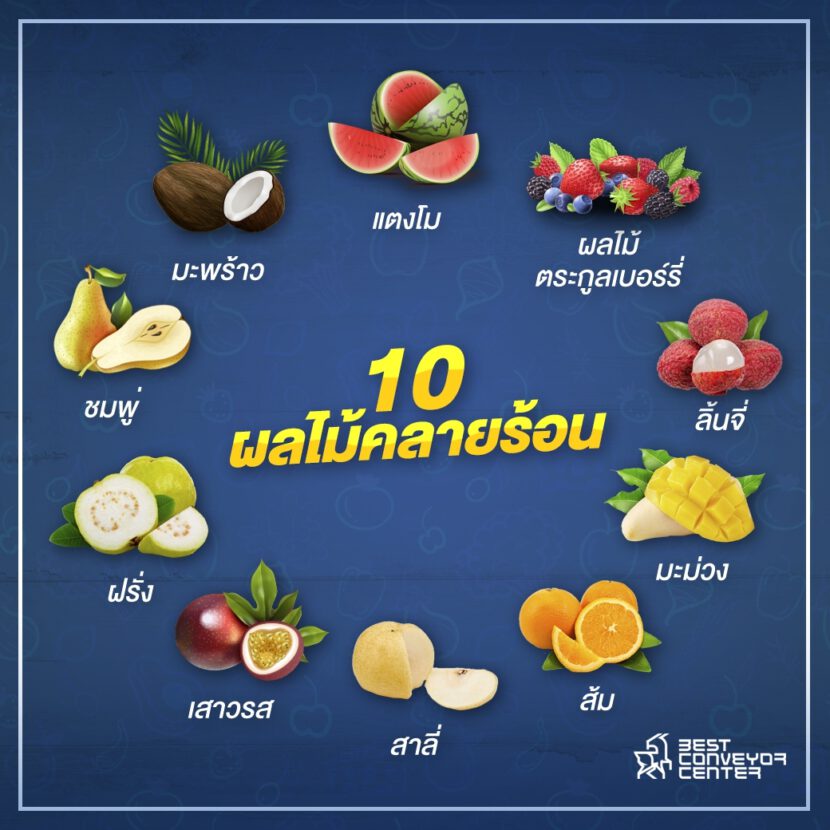 10 fruits for Cool off